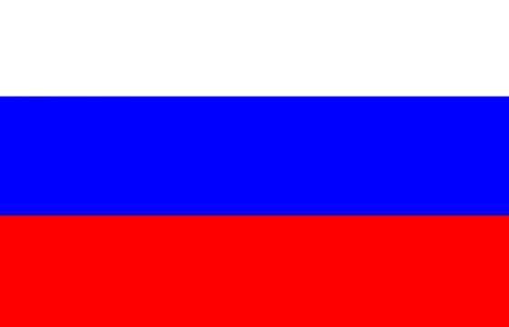 МИД России подтвердил гибель посла Андрея Карлова