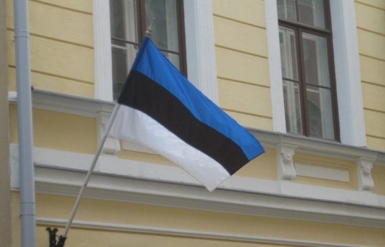 У президента Эстонии появился официальный портрет