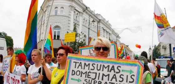 Комиссар Совета Европы призвал Литву не вводить штрафы за "выражение публичного опорочивания семьи"