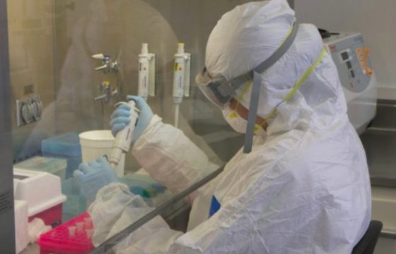 В Австралии удалось создать лабораторную копию коронавируса