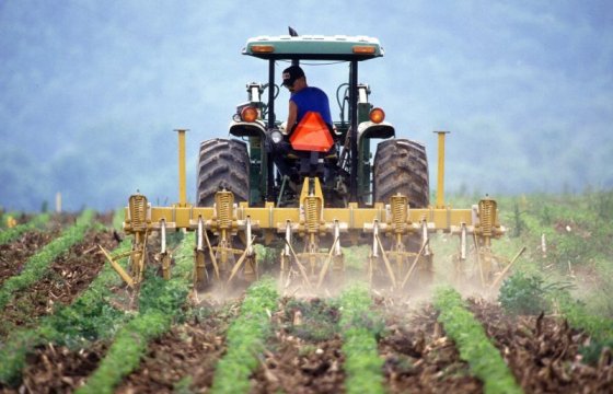 Занятым в сельском хозяйстве иностранцам продлили разрешение на работу в Эстонии