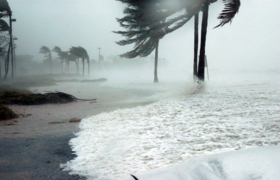 Эстония поможет пострадавшему от урагана Техасу