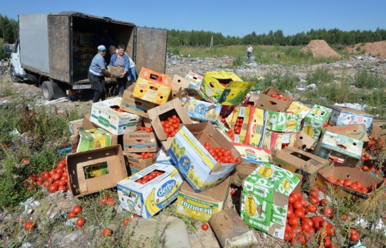 За два года Россия уничтожила 17 тонн санкционной продукции