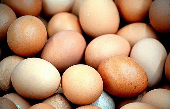 Ветеринарно-пищевой департамент Эстонии: Яйца птицефермы Sanlind заражены сальмонеллой