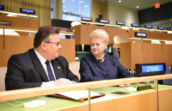 Президент Литвы: ООН переживает кризис