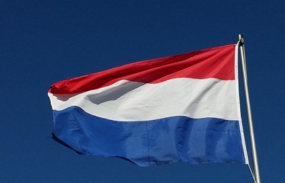 Нидерланды разрешат выращивание эмбрионов для исследований
