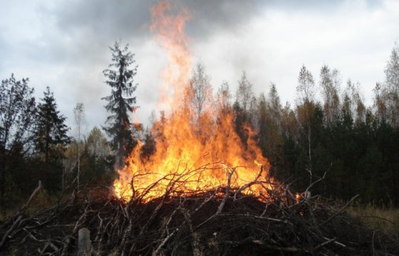 Греция обратилась к ЕС за помощью в борьбе с лесными пожарами