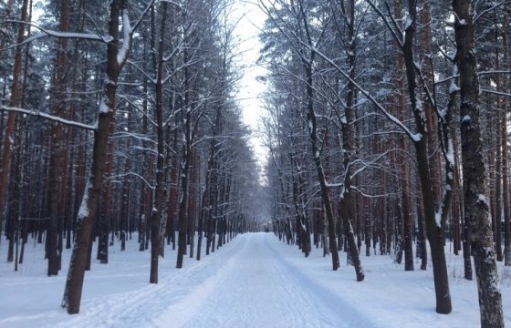 На прошлой неделе в Латвии от холода погибли 6 человек