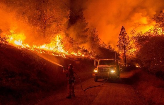 Эстонские спасатели за 12 дней потушили крупный лесной пожар
