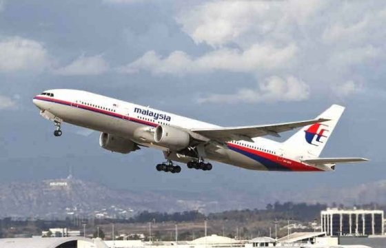 ЕС призвал привлечь к ответственности виновников крушения малазийского лайнера MH17