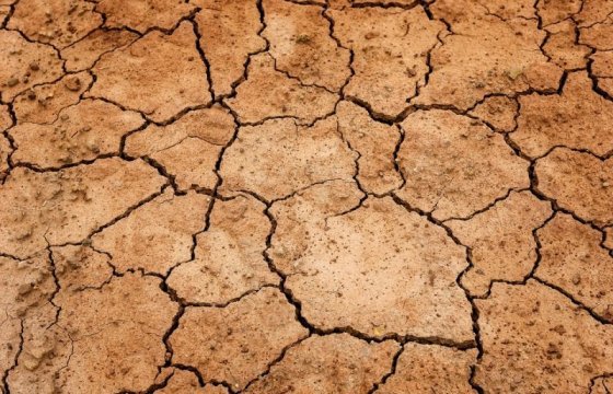 В пяти самоуправлениях Литвы объявлена стихийная засуха