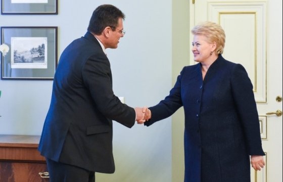 Литовский президент: Островецкая АЭС – забота всего ЕС