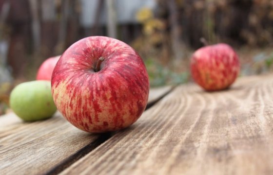В США вывели сорт яблок, которые хранятся год