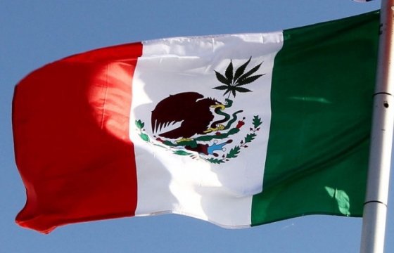 Мексика выделит около 47 млн евро на поддержку граждан в США