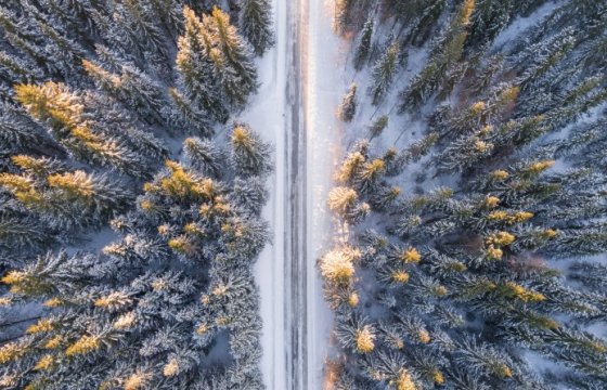 МВД Эстонии предложило ужесточить требования к очистке дорог от снега