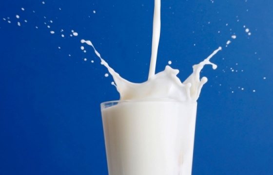 «Политиканством цены на молоко не поднимешь»