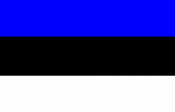 Путин поздравил «многонациональный народ» Эстонии с Днем Независимости