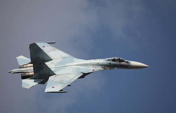 Швеция назвала провокацией перехват самолета российским Су-27