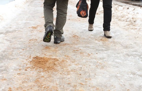 В Латвии собирают подписи за замену соли на песок при обработке улиц