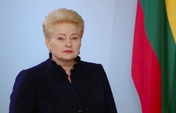 Литовский президент наложит вето на поправки, которые дают возможность преследовать за критику власти
