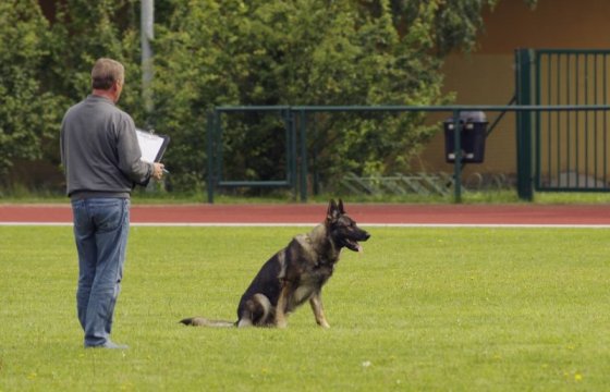 Польша планирует ввести пенсию для полицейских собак и лошадей