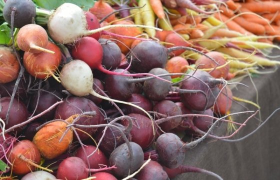 Эксперты предлагают снизить НДС до 5% только на латвийские овощи, фрукты и ягоды