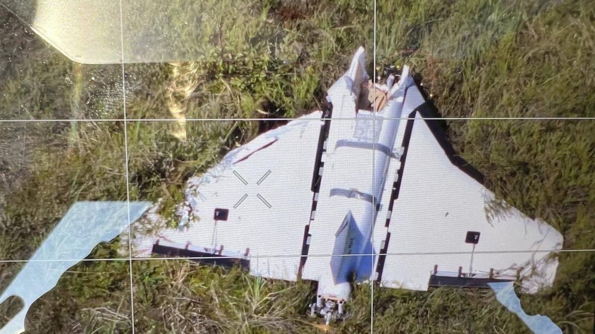 Литва попросила у НАТО дополнительную защиту от беспилотников