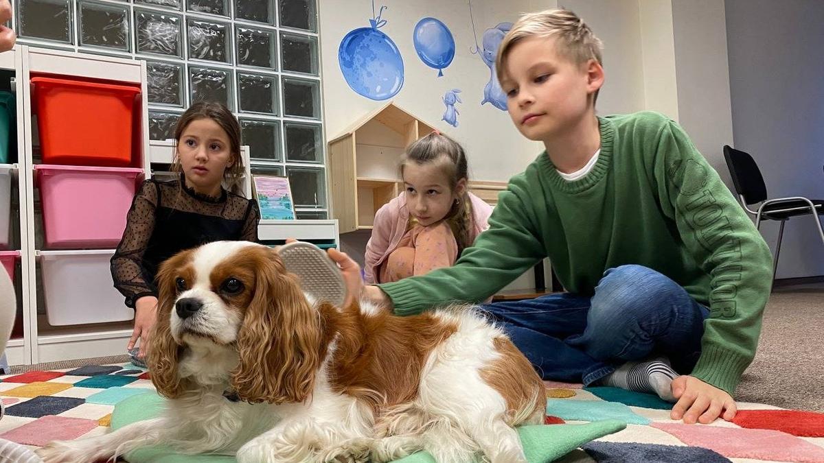 В вильнюсском центре миграции собаки-терапевты помогают украинским детям адаптироваться в Литве