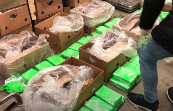 В Латвии назвали стоимость найденного в коробках с бананами кокаина