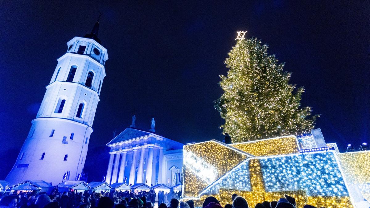 На Кафедральной площади в Вильнюсе зажгли рождественскую ель (ФОТО)