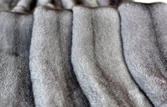 Крупнейший в мире производитель меха норок Kopenhagen Fur объявил о ликвидации