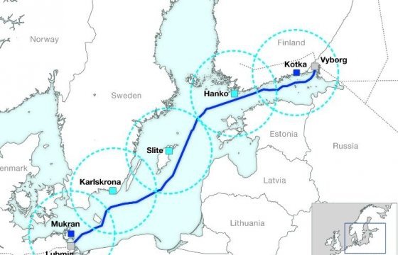 Грибаускайте: Проект Nordstream грозит ростом зависимости стран ЕС от России