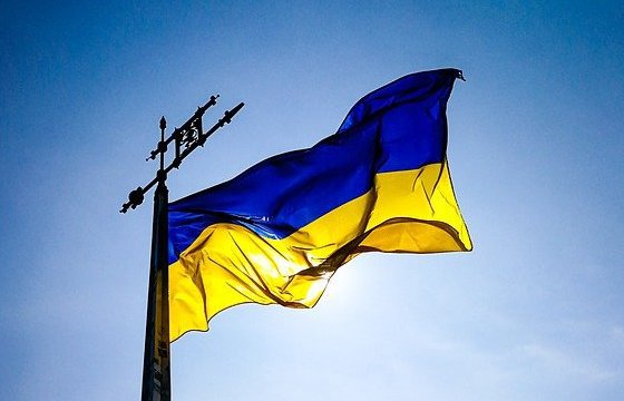 В Вильнюсе проходит акция в поддержку Украины (СТРИМ)