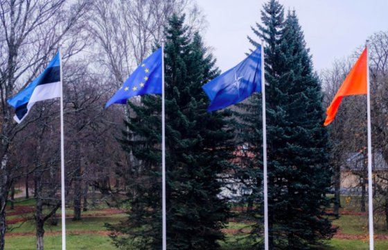 В Таллине подняли оранжевый флаг в знак борьбы с насилием против женщин