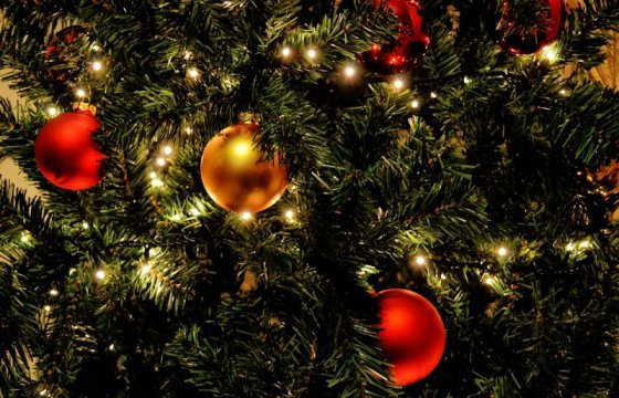 Президент Литвы примет участие в зажжении первой рождественской елки