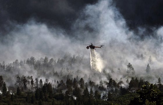 Латвия купит 6 вертолетов для тушения пожаров