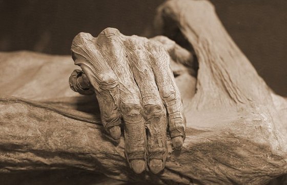 В Иране обнаружили мумию предпоследнего шаха