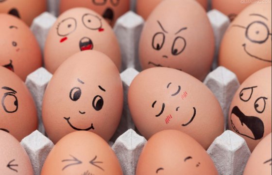 Статистика: в Латвии в прошлом году произвели 800 млн. яиц