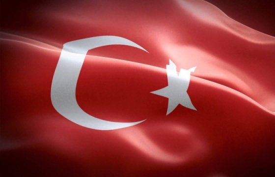 В Турции задержали подозреваемого в убийстве пилота российского Су-24