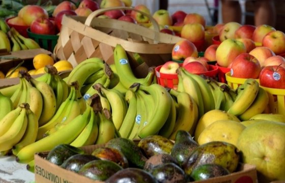 Россия запретила поставки овощей и фруктов из Египта
