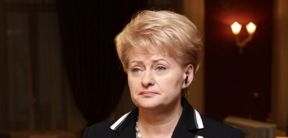 Президент Литвы назвала дискриминационным предложение Лондона об отмене выплат иммигрантам