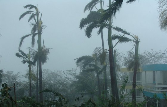 Ураган «Ирма» достиг Флориды