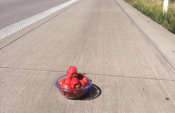 Литовец в Германии вместо аварийной сигнализации использовал овощи