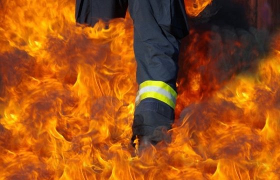 МВД Литвы: Руководство пожарных использовало бесплатный труд своих подчиненных
