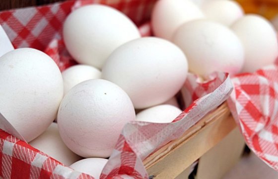 ПВС Латвии обнаружила сальмонеллу в украинских яйцах