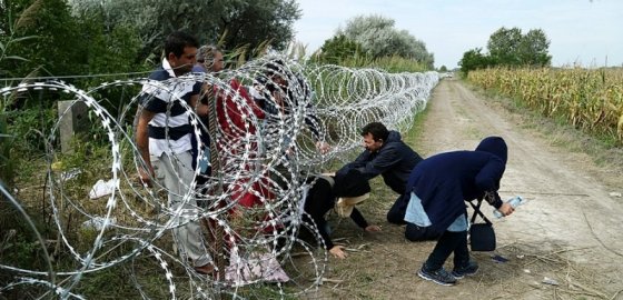 Хорватия будет доставлять беженцев к границе Словении