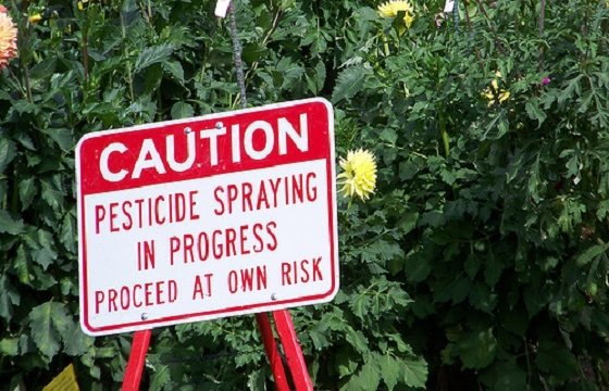 Сельскохозяйственная палата Эстонии: Злоупотребляющие пестицидами должны отвечать за ущерб