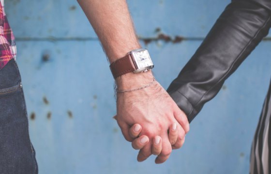 Сейм Латвии отклонил законопроект о партнерских отношениях