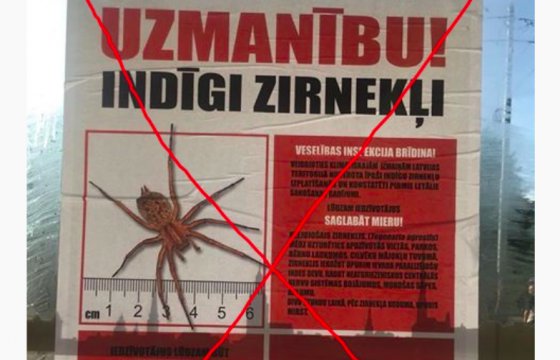 На улицах Риги появились фейковые плакаты о ядовитых пауках