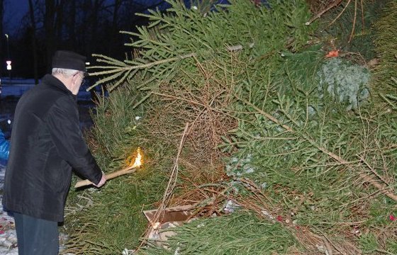 Жители Тарту сделают из новогодних елок огненную скульптуру